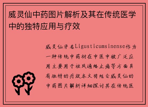 威灵仙中药图片解析及其在传统医学中的独特应用与疗效